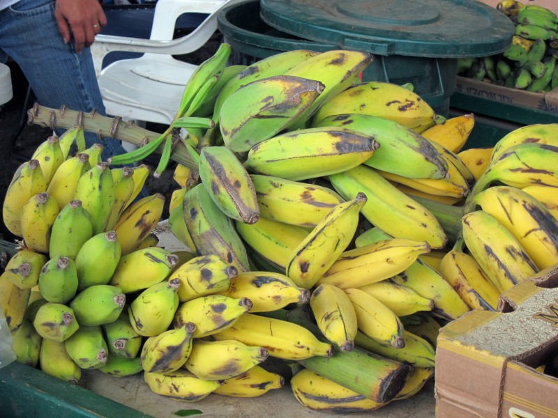 Apple Bananas