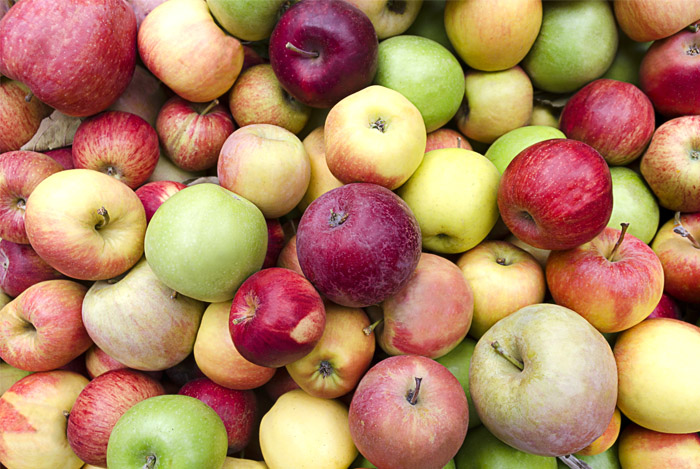 8 types of apples and their hidden health benefits