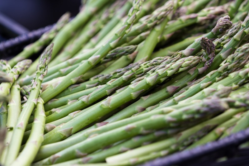 Asparagus and Epilepsy