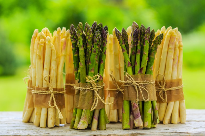 Asparagus and Immune Support