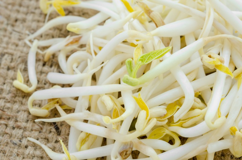Bean Sprouts Superfood