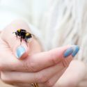 Bee sitting