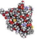 Benefits of Insulin-Like Growth Factor 1