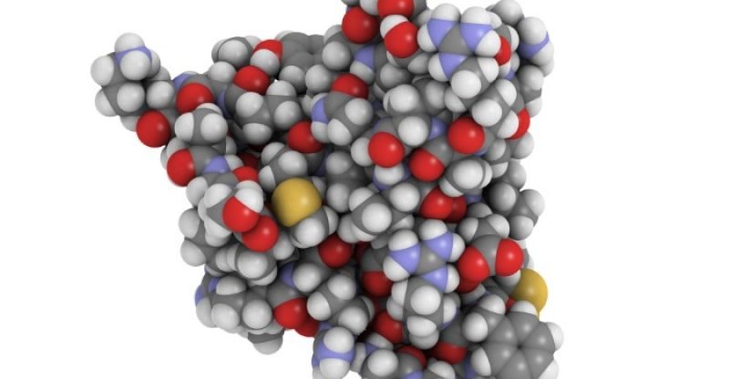 Benefits of Insulin-Like Growth Factor 1