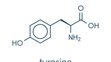 Benefits-of-L-Tyrosine