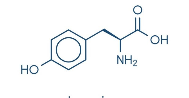 Benefits of L Tyrosine 800x416 - L-TYROSINE 10 GEZONDE EIGENSCHAPPEN