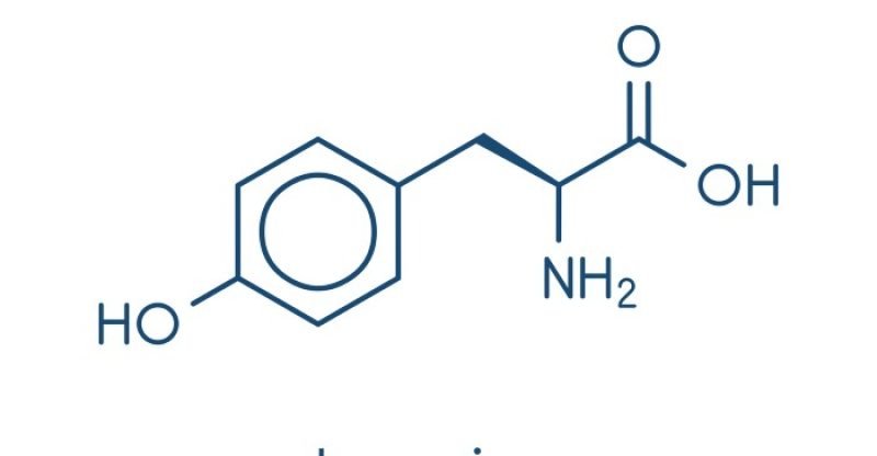 Benefits-of-L-Tyrosine