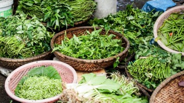 benefits-of-leafy-green-vegetables