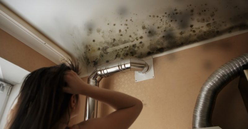 Black-Mold-Symptoms-and-Remedies