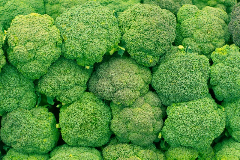 Broccoli Lowers Cholesterol Levels