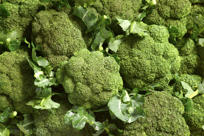 Broccoli is High in Indole-3-carbinol