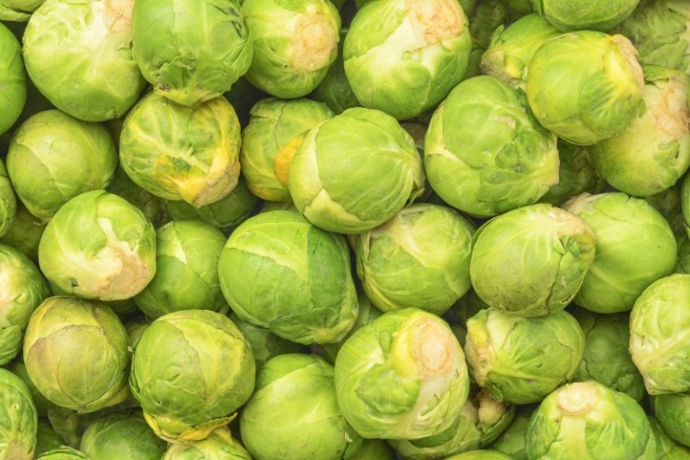 30 EvidenceBased Benefits of Brussel Sprouts WellBeing Secrets