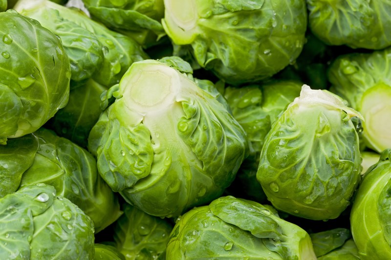 30 Evidence-Based Benefits of Brussel Sprouts – Well-Being Secrets