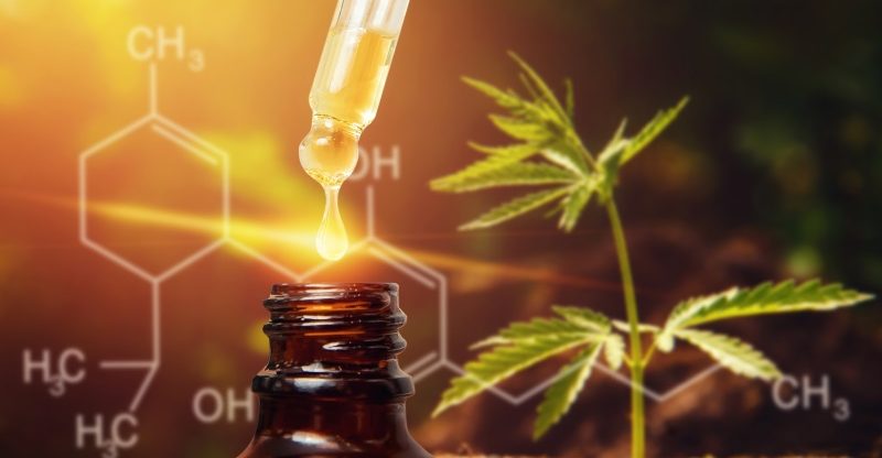 Cannabis CBD oil