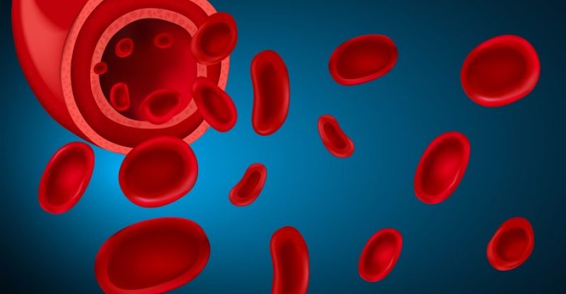 Danger of High or Low Monocytes