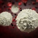 Dangers-of-High-or-Low-White-Blood-Cells-Count