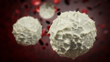 Dangers-of-High-or-Low-White-Blood-Cells-Count