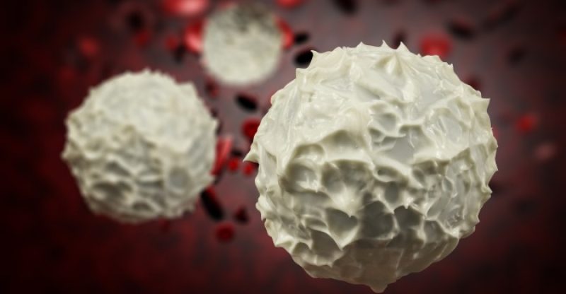 Dangers-of-High-or-Low-White-Blood-Cells-Count