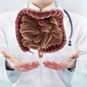 Digestive Enzymes Functions