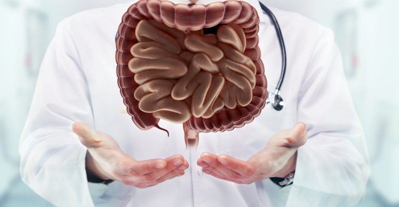 Digestive Enzymes Functions