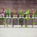 Essential Oils for Pain Management