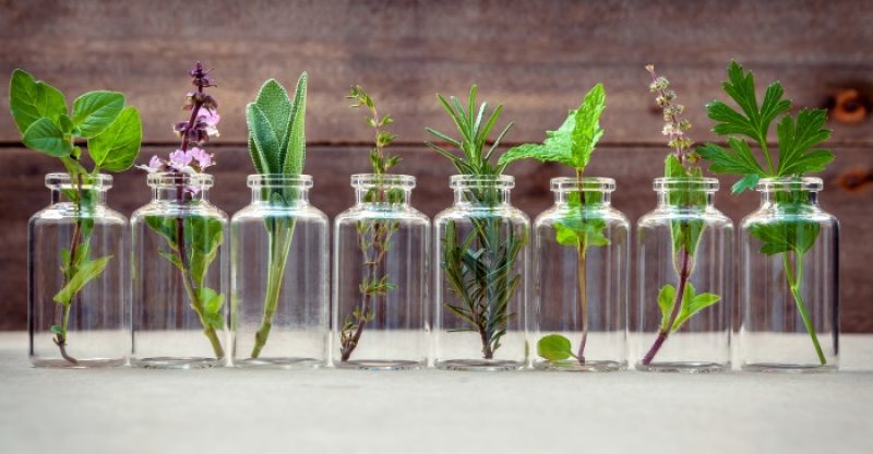 Essential Oils for Pain Management