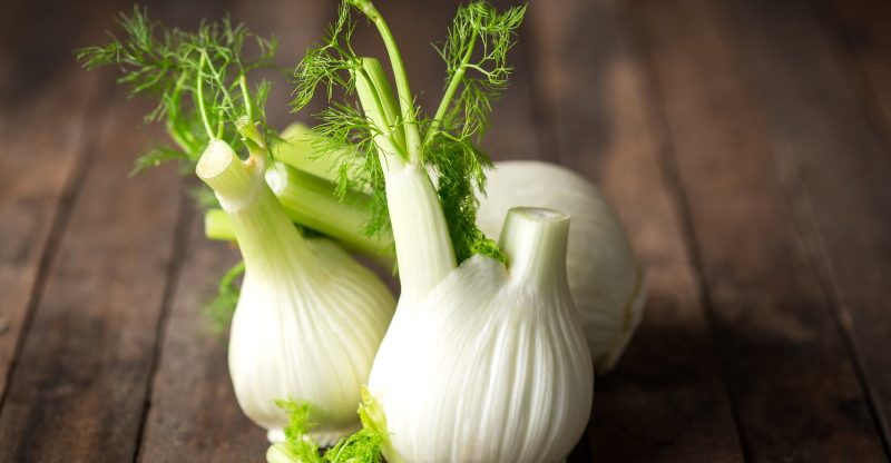 Fennel Health Benefits