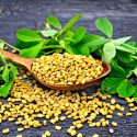 Fenugreek Benefits