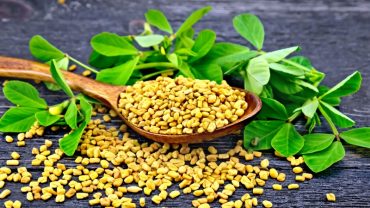 Fenugreek Benefits