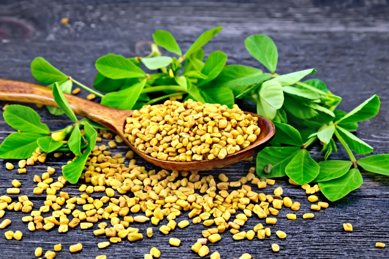 13 EvidenceBased Benefits of Fenugreek WellBeing Secrets