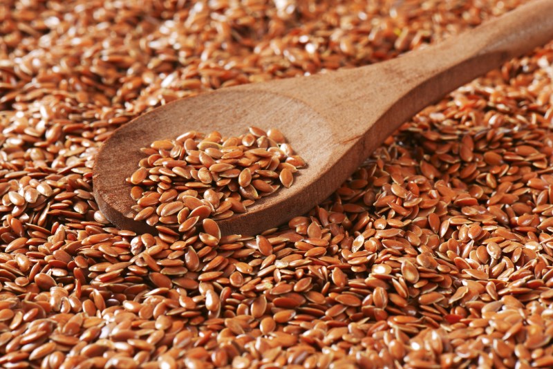 Flax Seeds is rich in Carbs and Fiber