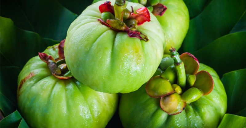 Garcinia Cambogia fruit