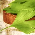 Ginkgo Biloba Benefits