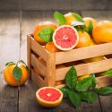 Grapefruit Seed Extract Benefits