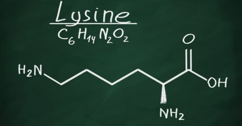 Health Benefits of Lysine 800x416 - Wat is Lysine? 13 gezondheids Voordelen van Lysine
