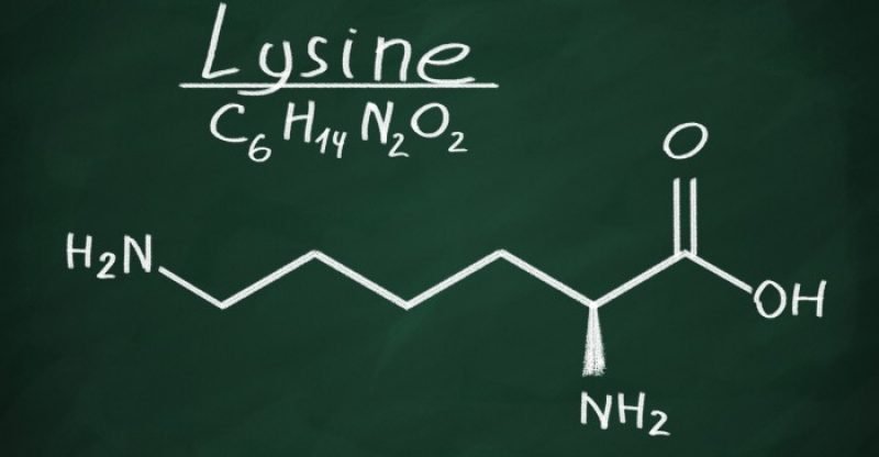 Health-Benefits-of-Lysine