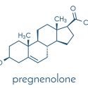 Health Benefits of Pregnenolone - 2