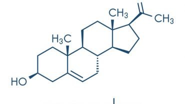 Health Benefits of Pregnenolone - 2