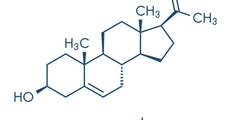 Health Benefits of Pregnenolone - 2