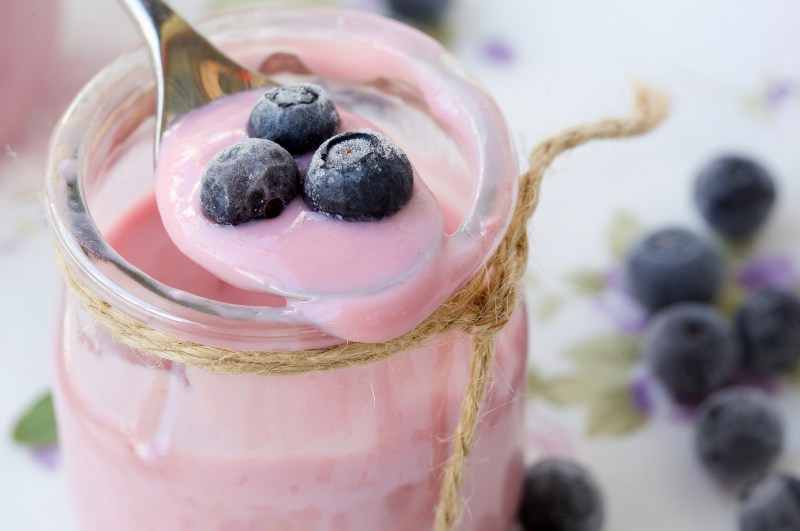 Homemade blueberry yogurt