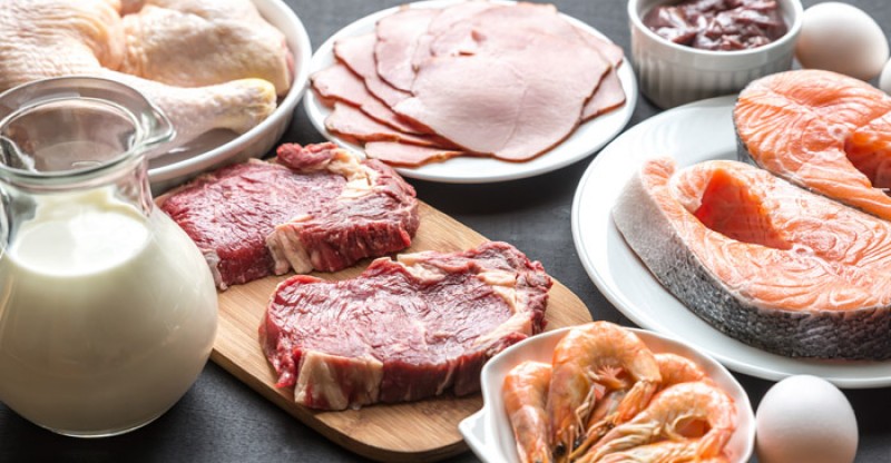 how-much-protein-should-you-eat-per-day
