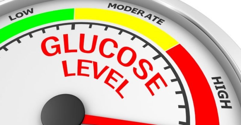 How to Maintain Normal Blood Sugar Levels – Well-Being Secrets