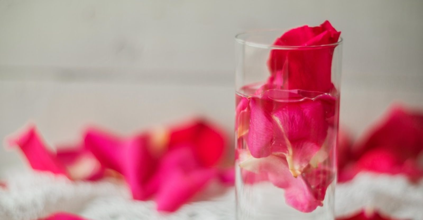 How to Make Rose Water WellBeing Secrets