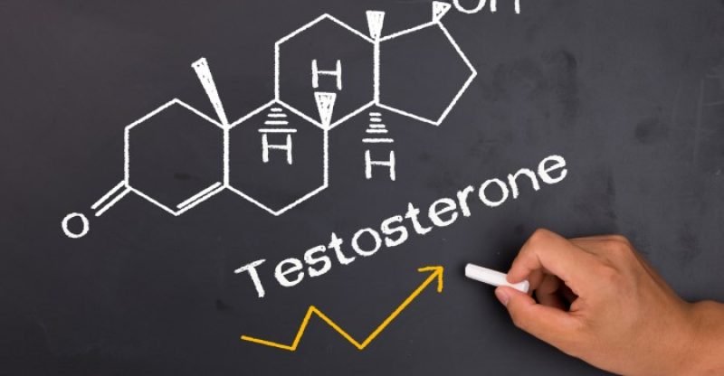 How to increase testosterone levels 800x416 - WAT IS TESTOSTERON? TESTOSTERON VERHOGEN 8 NATUURLIJK MANIEREN