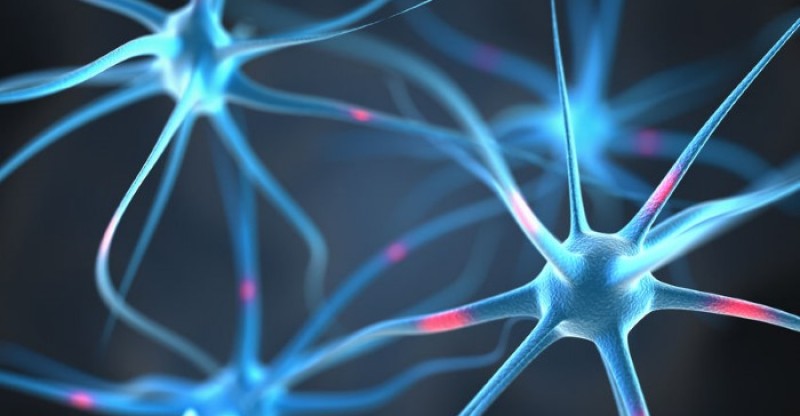 how-to-reduce-chances-of-developing-alzheimers