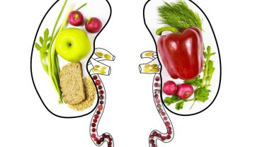Kidney Cleanse Diet