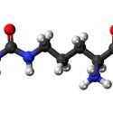 L-Citrulline-benefits