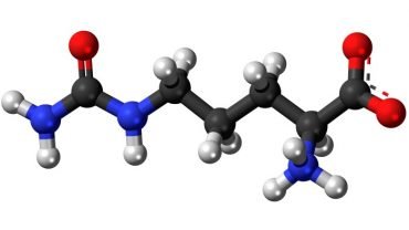 L-Citrulline-benefits