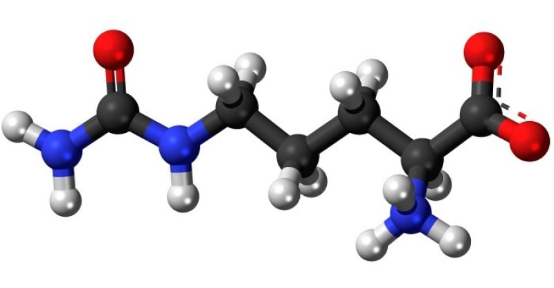 L-Citrulline-benefits