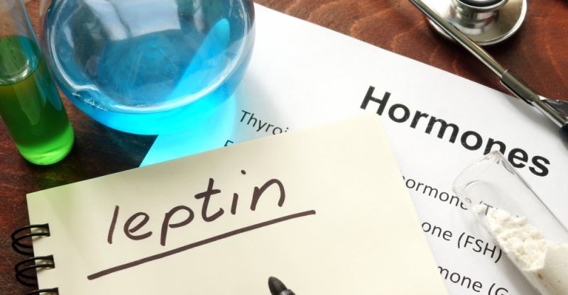Leptin